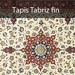 Tapis persan - Tapis Tabriz fin